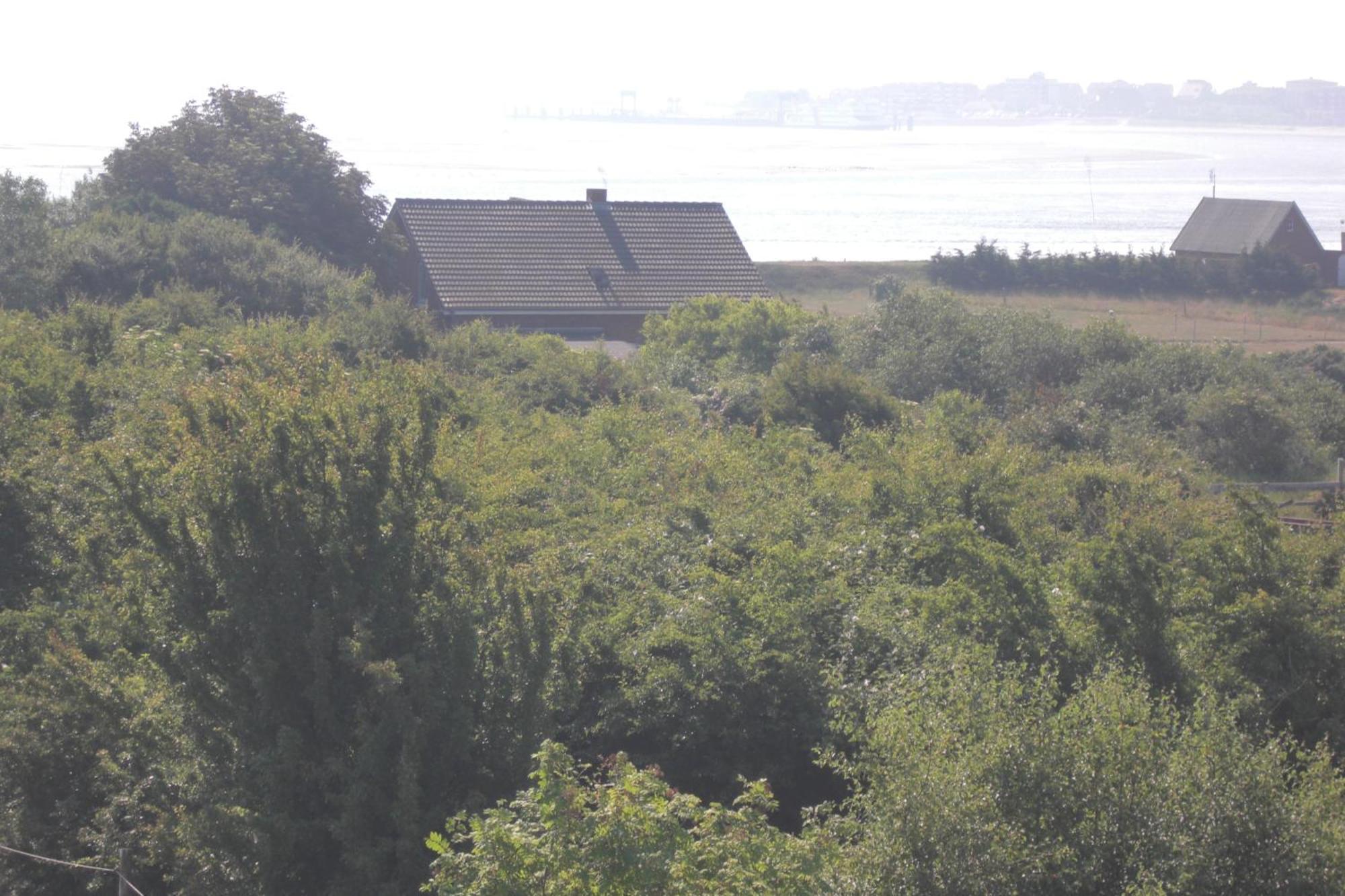 Gaestehaus Kapitaen Jan Ricklefs Nebel  Kültér fotó